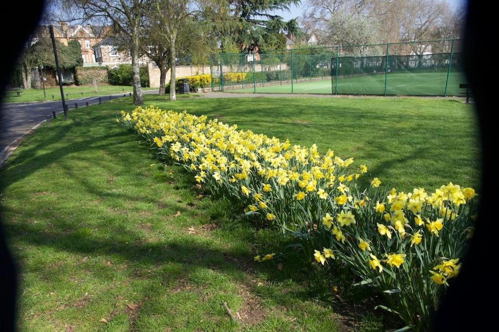 Glorious View Over The Park Londres Extérieur photo